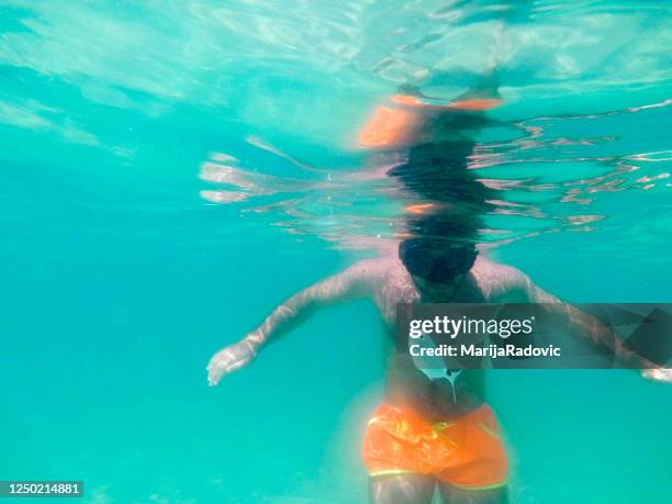 a young man snorkeling under water - fish barbados stock pictures, royalty-free photos & images