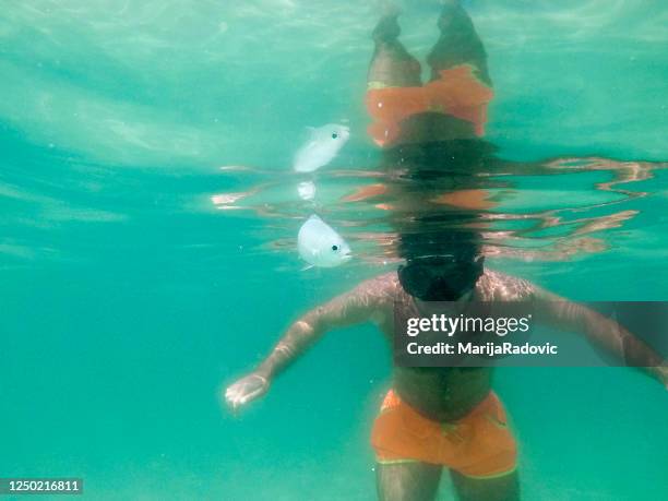 a young man snorkeling under water - fish barbados stock pictures, royalty-free photos & images