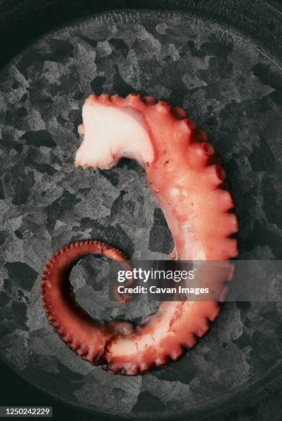 a piece of a boiled octopus - calamares stock-fotos und bilder