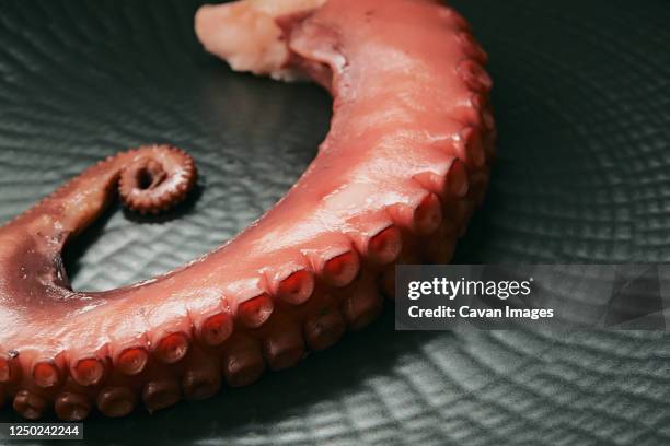 close up of a piece of a boiled octopus - tentacle imagens e fotografias de stock
