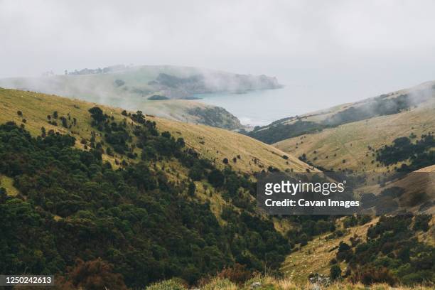 braided rivers from little akaloa bay, banks peninsula, new zealand - banks peninsula stock pictures, royalty-free photos & images