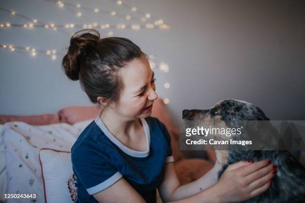 tween girl playing with her dog on her bed - australian cattle dog imagens e fotografias de stock
