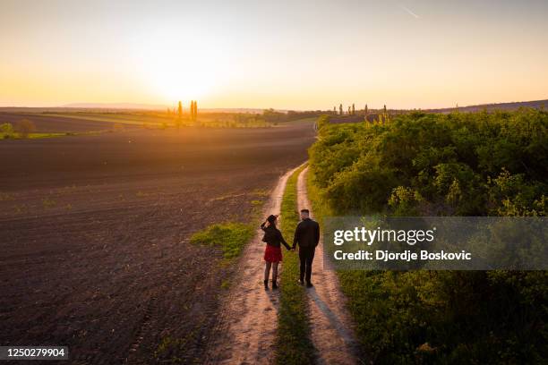 couple walking during sunset - dog overhead view stock pictures, royalty-free photos & images