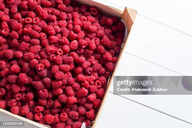 Cassidy Raspberry Box 113 Raspberry Box Wood Stock Photos, High-Res Pictures, and Images ...