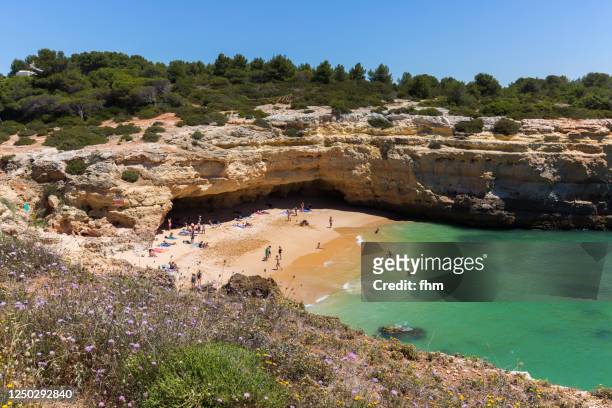 algarve beach and coastline (portugal) - albufeira stock pictures, royalty-free photos & images