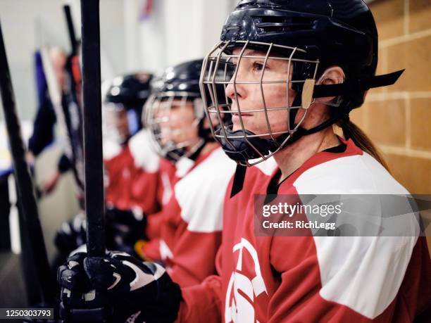 women ice hockey team on the bench - female hockey player stock pictures, royalty-free photos & images