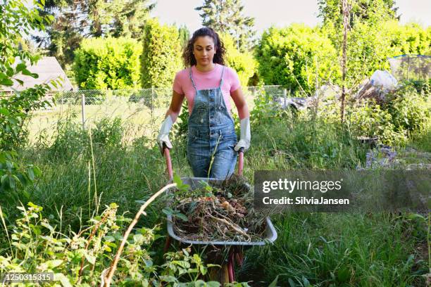 young hispanic woman composting in garden - wheelbarrow stock pictures, royalty-free photos & images