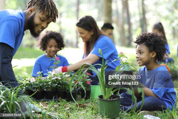 embelezamento ambiental. voluntários plantam flores, plantas no parque local na primavera. - happy earth day - fotografias e filmes do acervo
