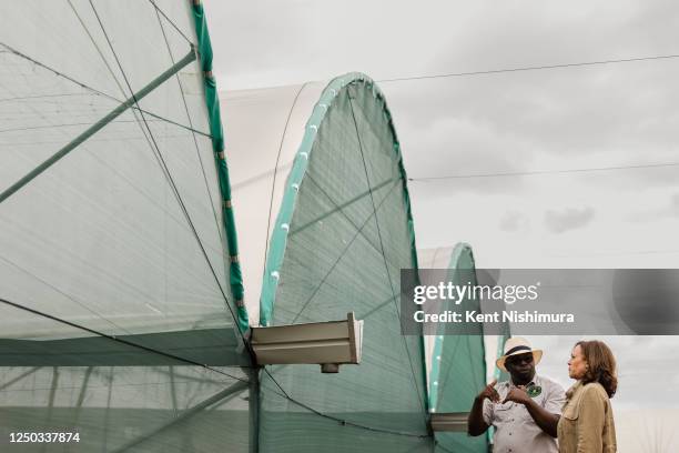 Panuka 2,064 Harris Farms Stock Photos, High-Res Pictures, and Images - Getty ...