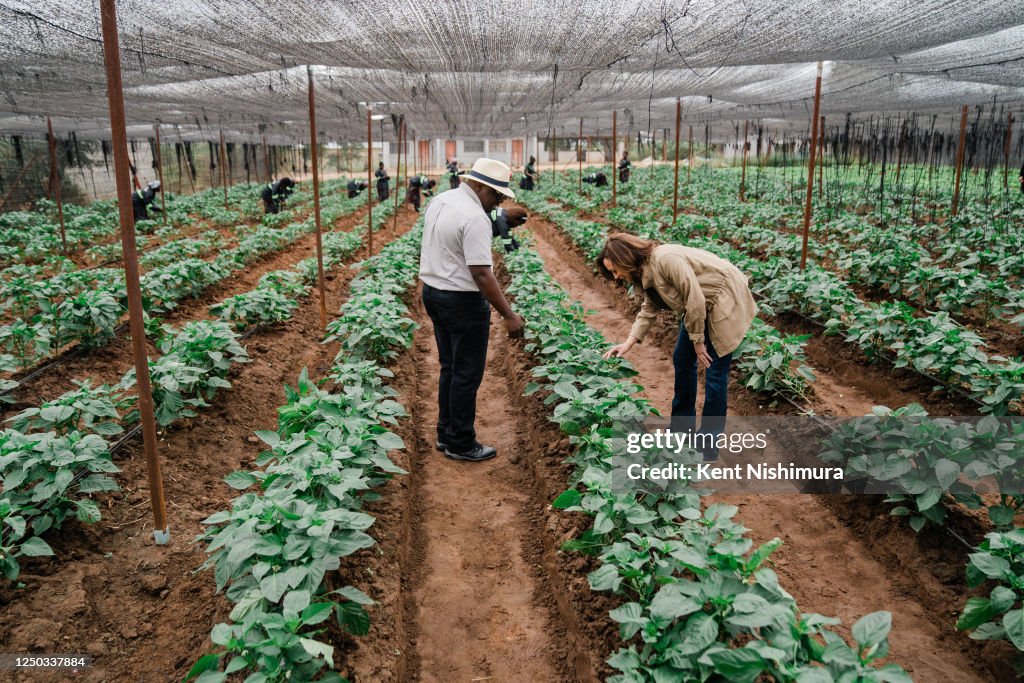 Panuka Vice President Kamala Harris vists Panuka Farm on Saturday, April 1 ...