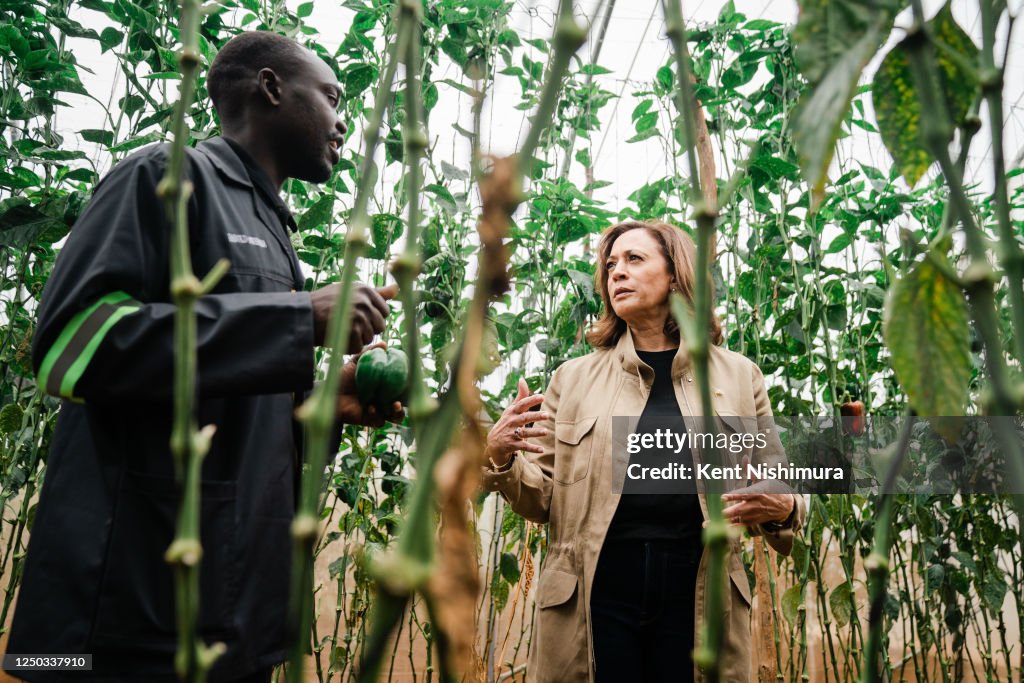 Panuka Vice President Kamala Harris vists Panuka Farm on Saturday, April 1 ...