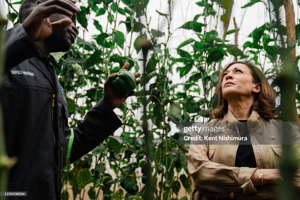Panuka Vice President Kamala Harris vists Panuka Farm on Saturday, April 1 ...