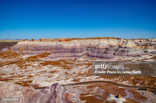 the multi colored strata of the painted desert in the american southwest. - petrified wood stock-fotos und bilder