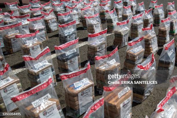 View of some of the seized 2,188 one-kilo packages of cocaine, during a press conference at the Caucedo Multimodal Port in Santo Domingo, on April 1,...
