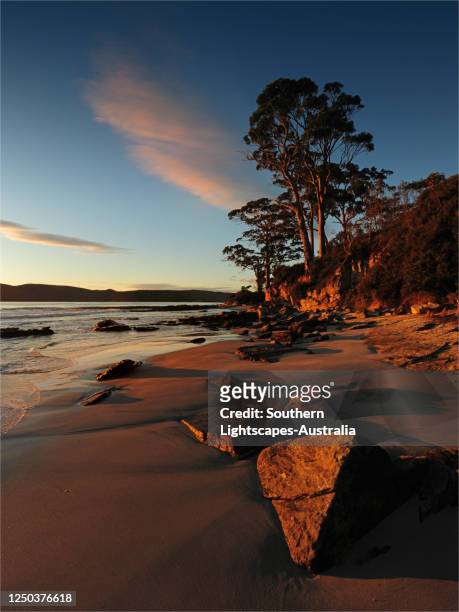a beautiful dawn viewpoint on bruny island at adventure bay, southern coastline of tasmania, australia. - bruny island stock pictures, royalty-free photos & images