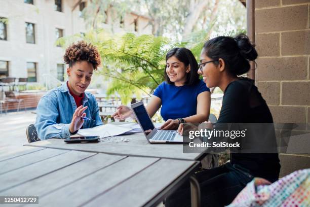 studiedatum - oceanië stockfoto's en -beelden