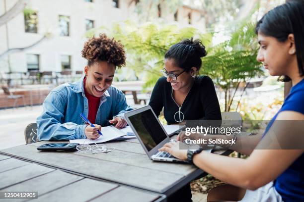 studying with friends - australian cafe stock pictures, royalty-free photos & images