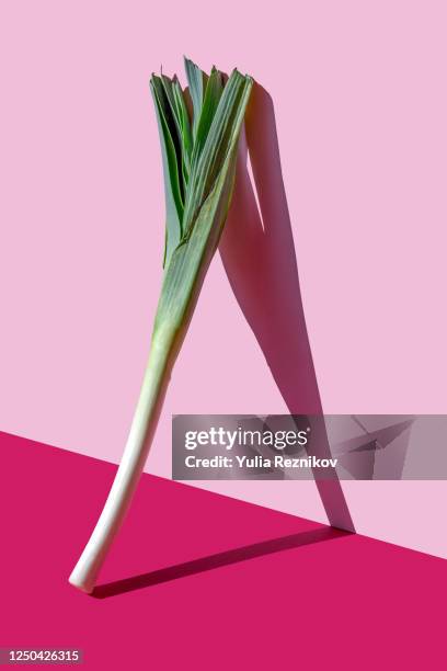 green leeks on the pink background - alho francês imagens e fotografias de stock