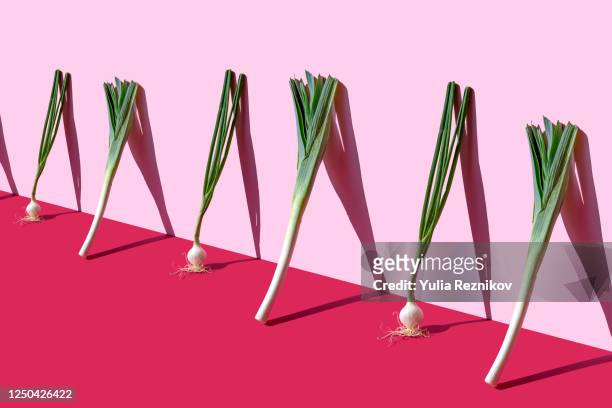 green spring onions and leeks on the pink background - create and cultivate fotografías e imágenes de stock