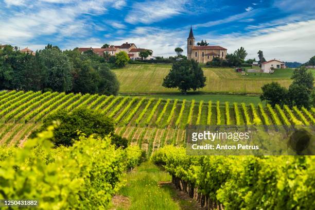 vineyards at sunset. gascony, france - burgundy vineyard stock pictures, royalty-free photos & images