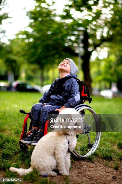 young boy with puppy - one animal stock pictures, royalty-free photos & images