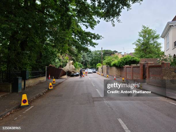 richmond-upon-thames, london, united kingdom - june 17, 2020: big tree fell on ford fiesta car parked on side of fife road - phatianov imagens e fotografias de stock