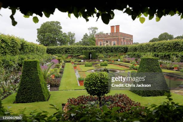 Detail of the gardens at the reopening of the Tudor gardens at Hampton Court Palace on June 18, 2020 in London, England. In line with government...