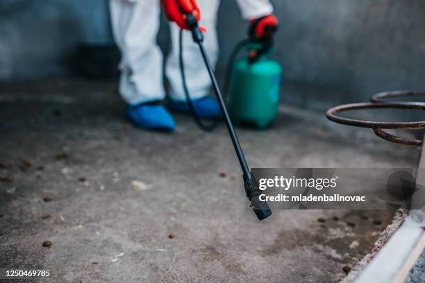 exterminador, higiene, desinfección - espacio reducido fotografías e imágenes de stock