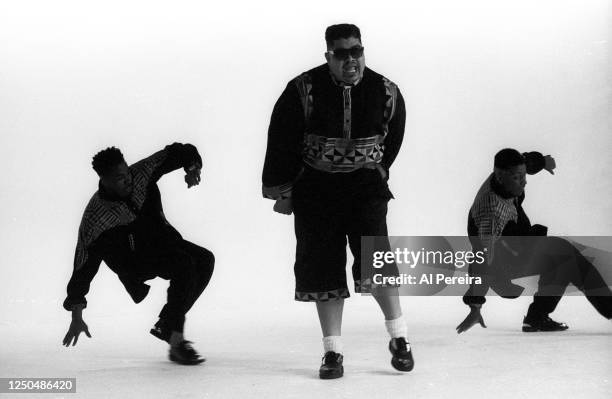 T Roy Rapper 212 Heavy D & The Boyz Photos & High Res Pictures - Getty Images
