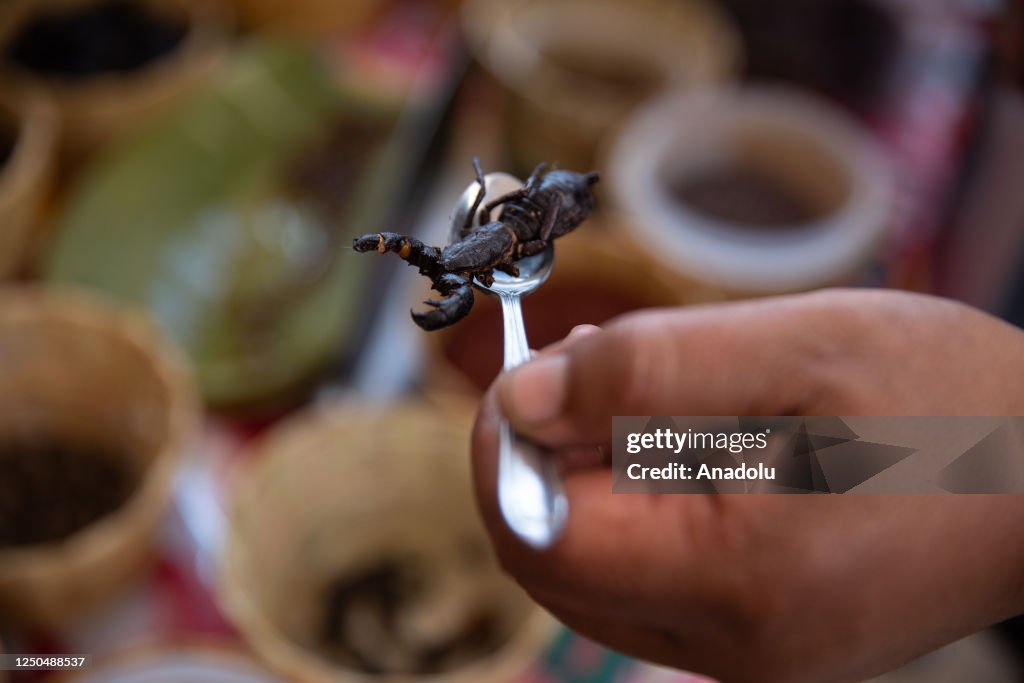Insect Tasting A man prepares to taste an arachnid during the Bichopolis insects ...