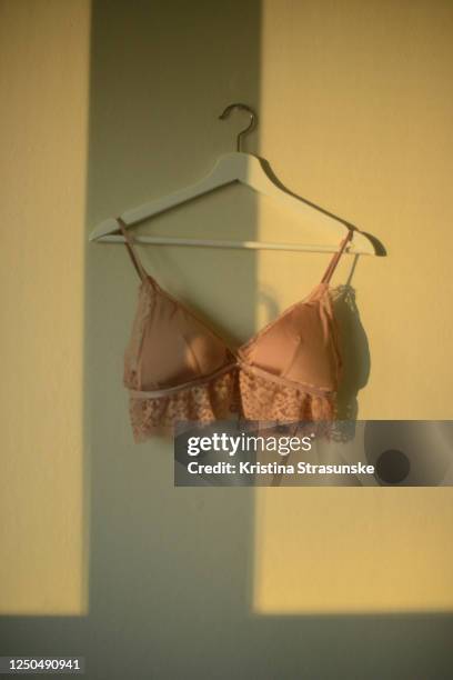 https://media.gettyimages.com/id/1250490941/photo/brown-bra-with-lace-details-hanging-on-a-coathanger-on-a-wall-seen-in-a-soft-golden-summer.jpg?s=612x612&w=gi&k=20&c=J1KBOrxzRN4tJpzkf0KrXuBSumSkreV61f-blac4Kys=