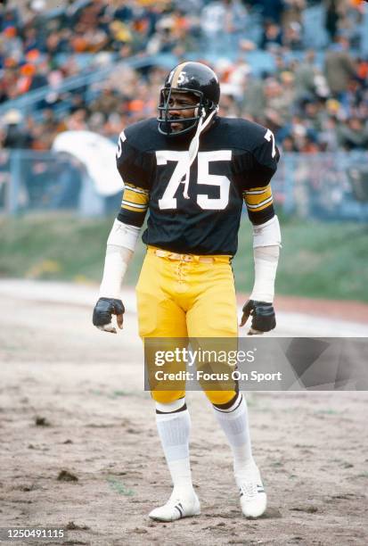 Joe Greene of the Pittsburgh Steelers looks on against the Cleveland Browns during an NFL football game October 15, 1978 at Cleveland Municipal...