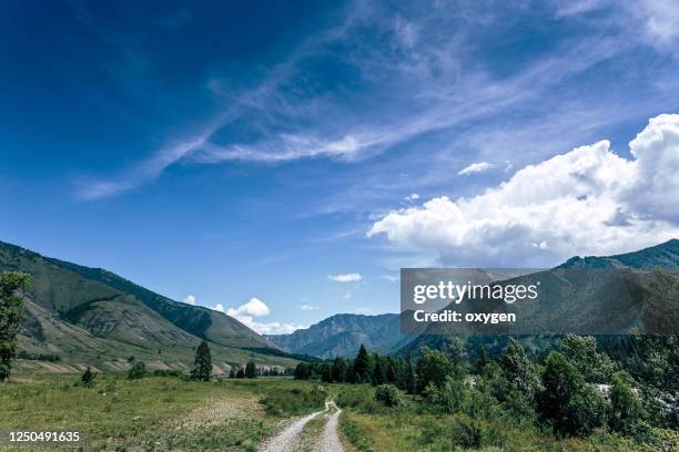 a lonely road altay mountains highlands. summer cloudy weather - montagnes altaï photos et images de collection