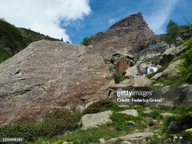 mt. punta della rossa seen from alpe devero - rosa rossa stock-fotos und bilder