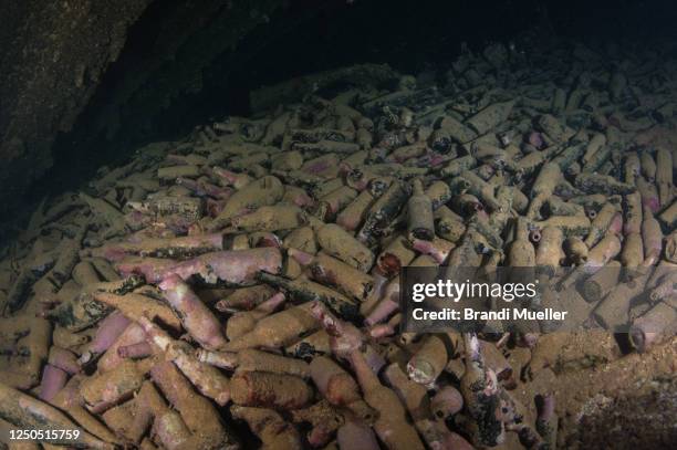 bottles on the nippo maru, underwater truk lagoon, chuuk, micronesia - pacific war fotografías e imágenes de stock