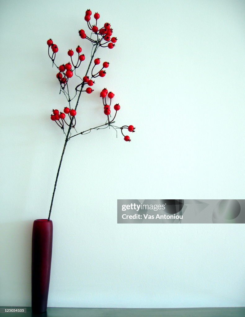 Vase with berry twig
