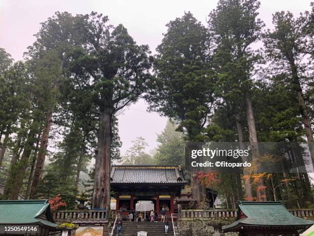 Nikkō National Park Photos and Premium High Res Pictures - Getty Images