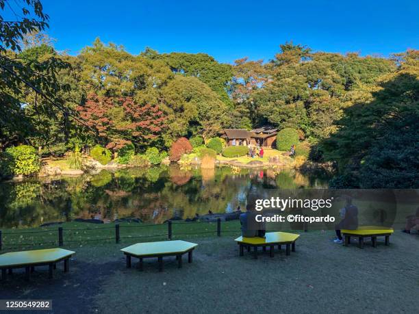 tokyo national museum garden and tea houses - ueno park stock-fotos und bilder