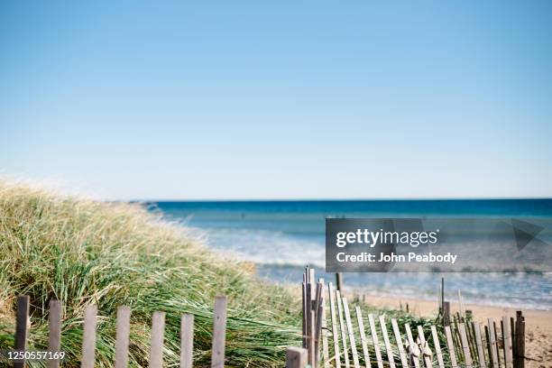 ditch plains beach in montauk - beach dunes stock-fotos und bilder