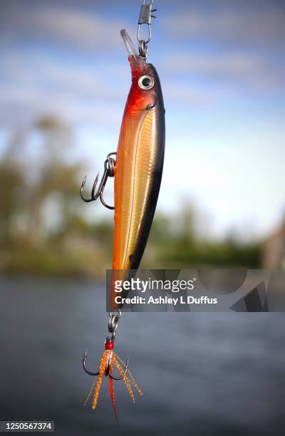 fishing lure - gone fishing stock pictures, royalty-free photos & images