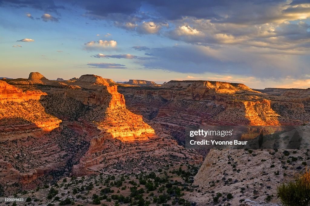 Wedge overlook
