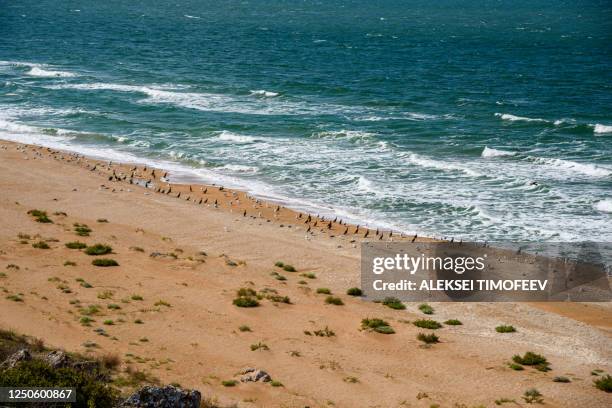 the general's beaches of the crimean peninsula on a sleepy day with clouds on the sky, with birds, cormorants, on the shore, filmed in the season of golden autumn. yellow-golden brown. - simferopol stock pictures, royalty-free photos & images