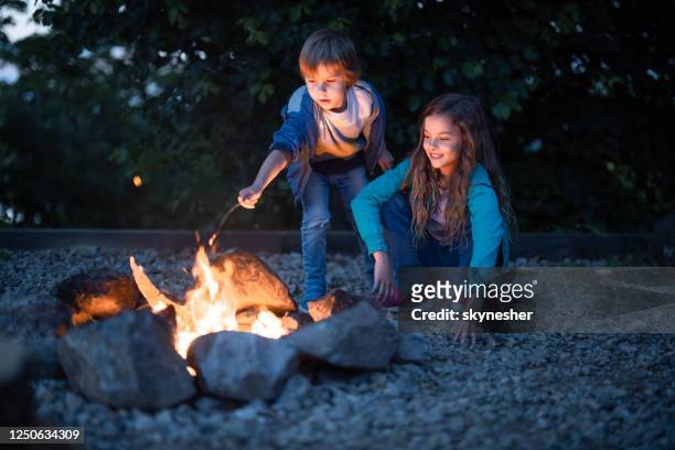 kleine broers en zussen genieten van bij het vreugdevuur in de avond. - haardvuur stockfoto's en -beelden