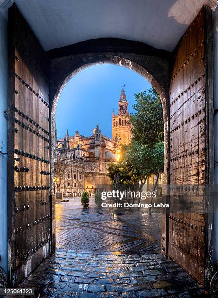 giralda from los reales alcazares, sevilla spain - santa cruz sevilha - fotografias e filmes do acervo