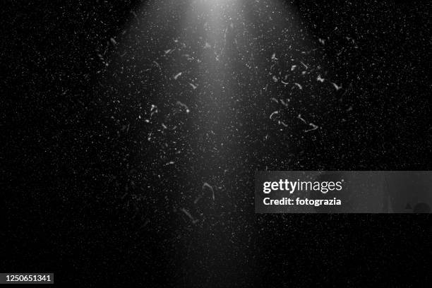 2 101 Dust Light Rays Stock Photos High Res Pictures And Images 2 101 Dust Light Rays Stock Photos High Res Pictures And Images