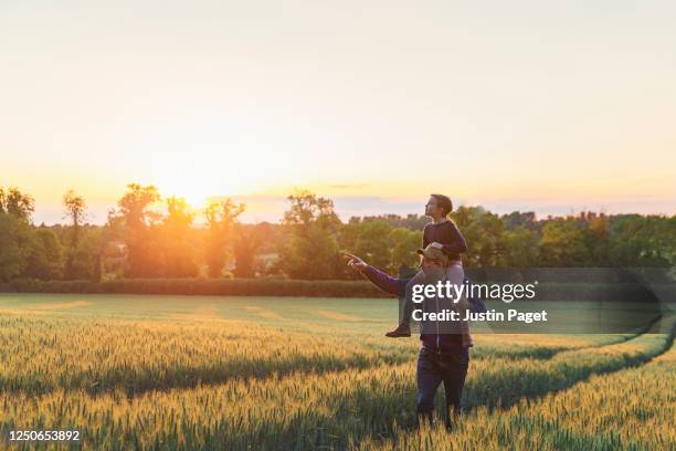 man with his daughter on his shoulder walk through field at sunset - father in field stock pictures, royalty-free photos & images