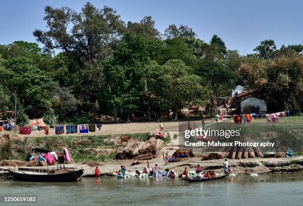 the life style in the countryside along the river hooghly, india. - river bathing stock pictures, royalty-free photos & images