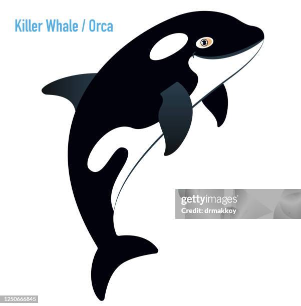 殺人鯨, 奧卡 - killer whale 幅插畫檔、美工圖案、卡通及圖標