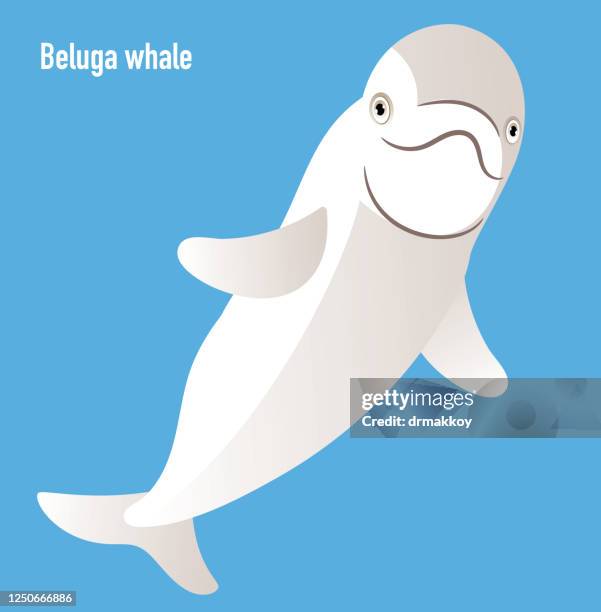 84点のシロイルカイラスト素材 Getty Images 84点のシロイルカイラスト素材 Getty Images