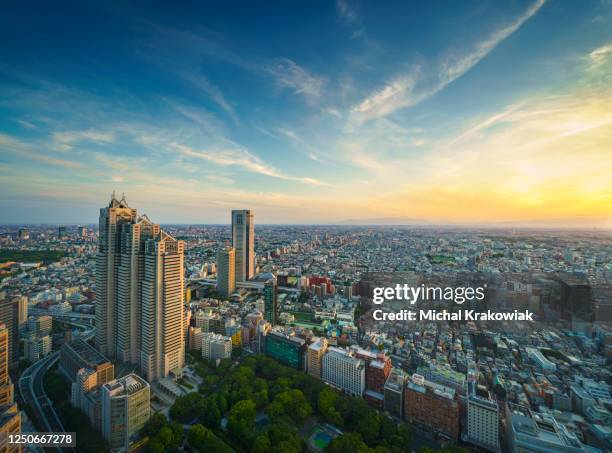 tokio panoramablick. - regierungsgebäude der präfektur tokio stock-fotos und bilder